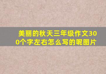 美丽的秋天三年级作文300个字左右怎么写的呢图片