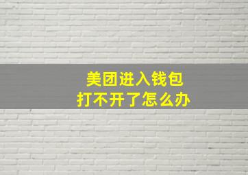 美团进入钱包打不开了怎么办