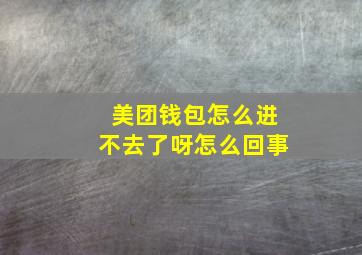 美团钱包怎么进不去了呀怎么回事