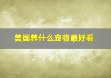 美国养什么宠物最好看