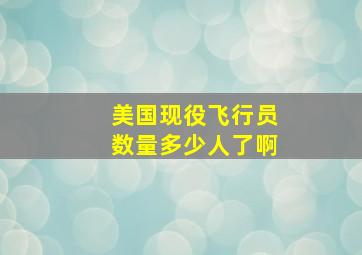 美国现役飞行员数量多少人了啊