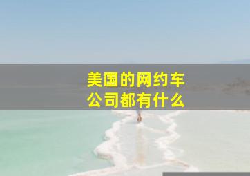 美国的网约车公司都有什么