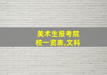 美术生报考院校一览表,文科