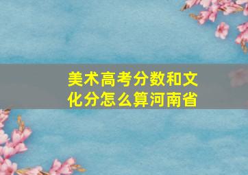 美术高考分数和文化分怎么算河南省