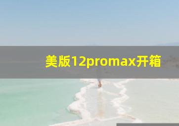 美版12promax开箱