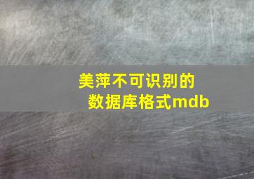 美萍不可识别的数据库格式mdb