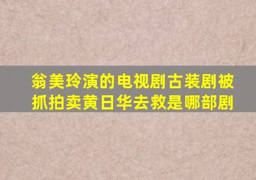 翁美玲演的电视剧古装剧被抓拍卖黄日华去救是哪部剧