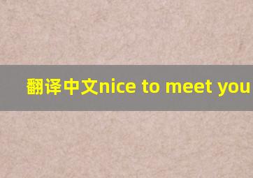 翻译中文nice to meet you too