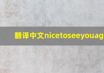 翻译中文nicetoseeyouagain