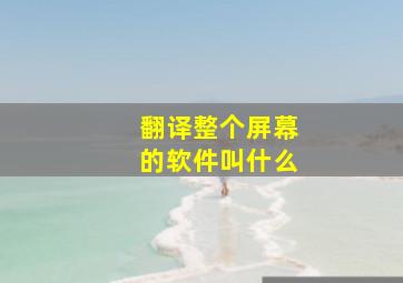 翻译整个屏幕的软件叫什么