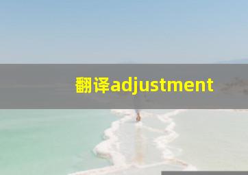 翻译adjustment