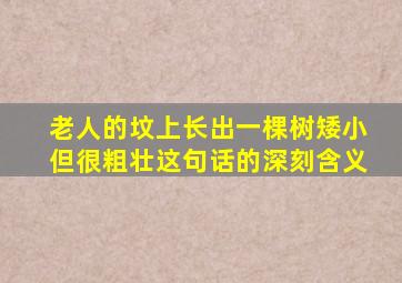 老人的坟上长出一棵树矮小但很粗壮这句话的深刻含义