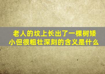 老人的坟上长出了一棵树矮小但很粗壮深刻的含义是什么