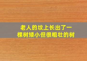 老人的坟上长出了一棵树矮小但很粗壮的树