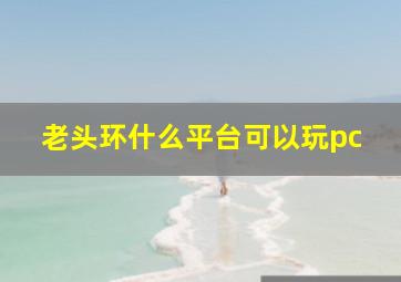 老头环什么平台可以玩pc