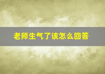 老师生气了该怎么回答