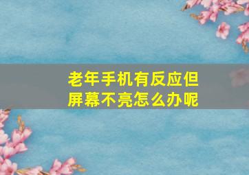 老年手机有反应但屏幕不亮怎么办呢