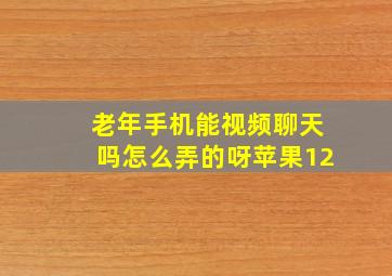 老年手机能视频聊天吗怎么弄的呀苹果12