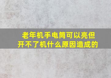 老年机手电筒可以亮但开不了机什么原因造成的