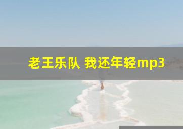 老王乐队 我还年轻mp3