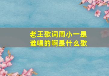 老王歌词周小一是谁唱的啊是什么歌