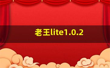 老王lite1.0.2