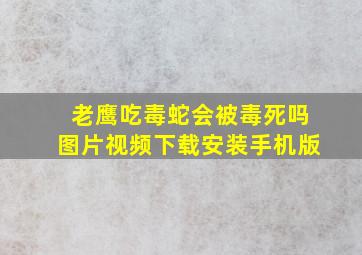 老鹰吃毒蛇会被毒死吗图片视频下载安装手机版