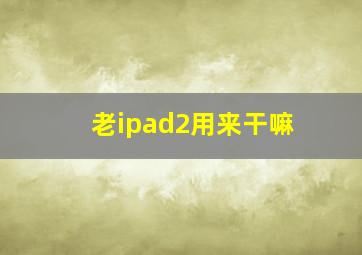 老ipad2用来干嘛