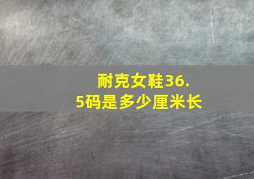 耐克女鞋36.5码是多少厘米长