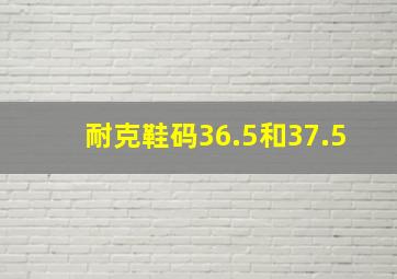 耐克鞋码36.5和37.5