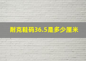 耐克鞋码36.5是多少厘米