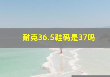 耐克36.5鞋码是37吗