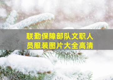 联勤保障部队文职人员服装图片大全高清