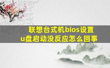 联想台式机bios设置u盘启动没反应怎么回事