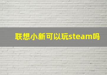 联想小新可以玩steam吗