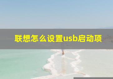 联想怎么设置usb启动项