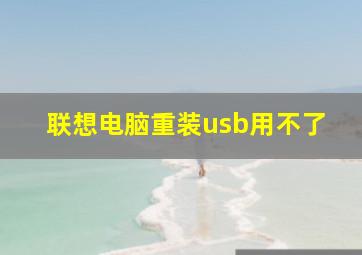 联想电脑重装usb用不了