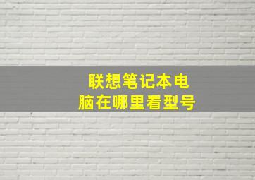 联想笔记本电脑在哪里看型号