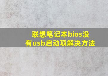 联想笔记本bios没有usb启动项解决方法