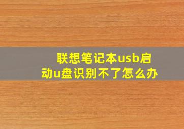 联想笔记本usb启动u盘识别不了怎么办