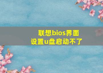 联想bios界面设置u盘启动不了