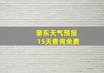 肇东天气预报15天查询免费