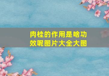 肉桂的作用是啥功效呢图片大全大图