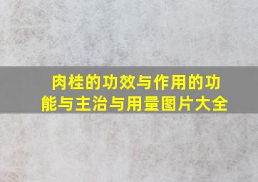 肉桂的功效与作用的功能与主治与用量图片大全