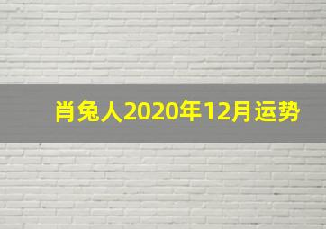 肖兔人2020年12月运势