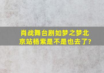 肖战舞台剧如梦之梦北京站杨紫是不是也去了?