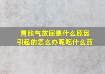 胃胀气放屁是什么原因引起的怎么办呢吃什么药