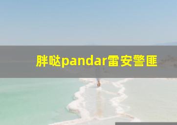 胖哒pandar雷安警匪