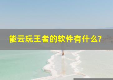 能云玩王者的软件有什么?