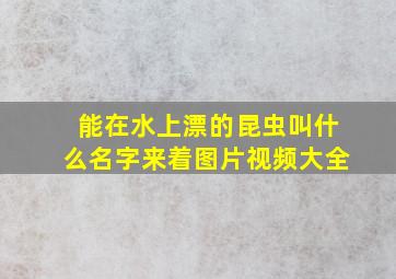 能在水上漂的昆虫叫什么名字来着图片视频大全